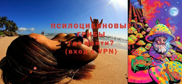 mix Богородицк